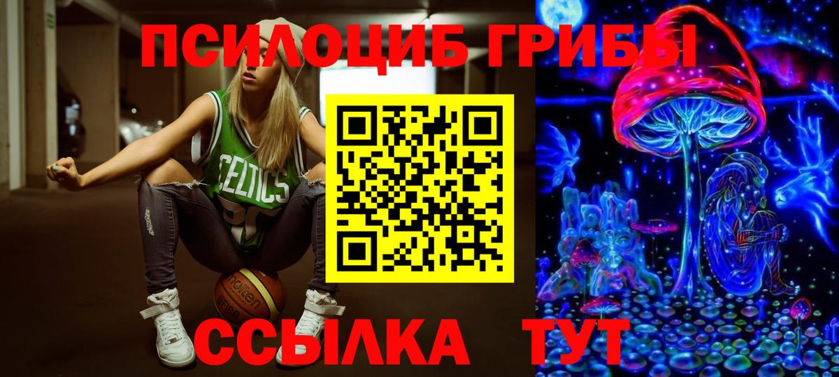 Псилоцибиновые грибы Psilocybe Михайловск