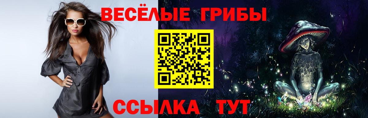 Михайловск  Галлюциногенные грибы Magic Shrooms  Вход с VPN 
